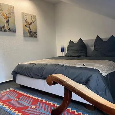 Gemuetliches City-appartment Apartment